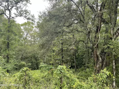 4825 Gopher Cir, Middleburg, FL 32068