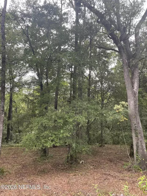 4819 Gopher Cir, Middleburg, FL 32068 photo 2