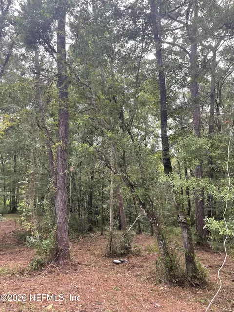 4819 Gopher Cir, Middleburg, FL 32068 photo 3