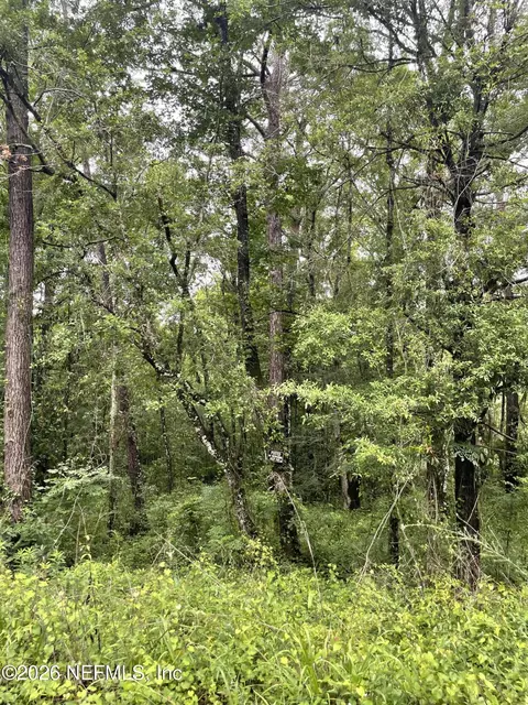 4819 Gopher Cir, Middleburg, FL 32068
