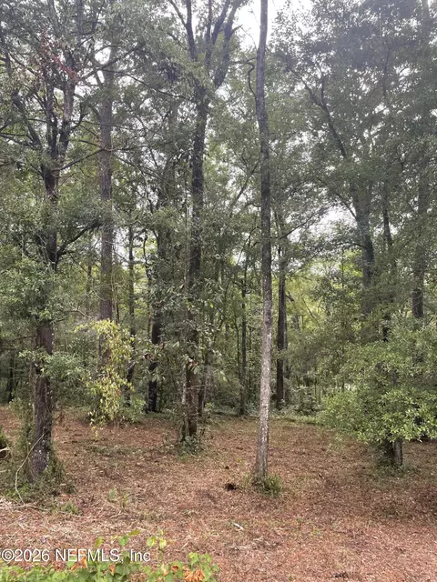 4819 Gopher Cir, Middleburg, FL 32068