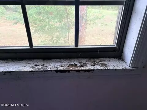 Other - 5830 Lady Bug Ln, Melrose, FL 32666 photo 6 of 18