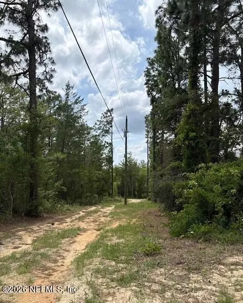 Other - 5830 Lady Bug Ln, Melrose, FL 32666 photo 17 of 18