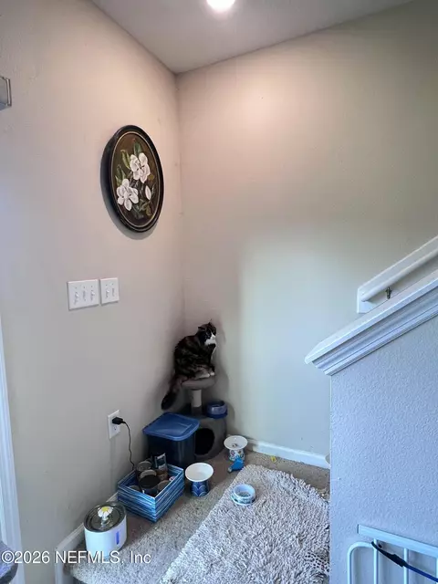 Other - 124 Great Star Ct, Saint Augustine, FL 32086 photo 6 of 10