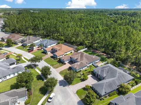 View/Area - 299 Appaloosa Ave, Saint Augustine, FL 32095 photo 7 of 11