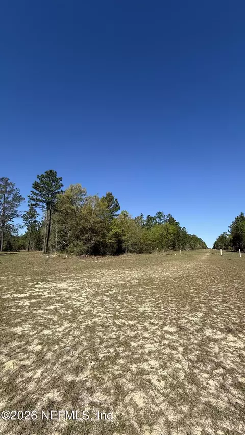 0 Mulberry St, Interlachen, FL 32148 photo 3
