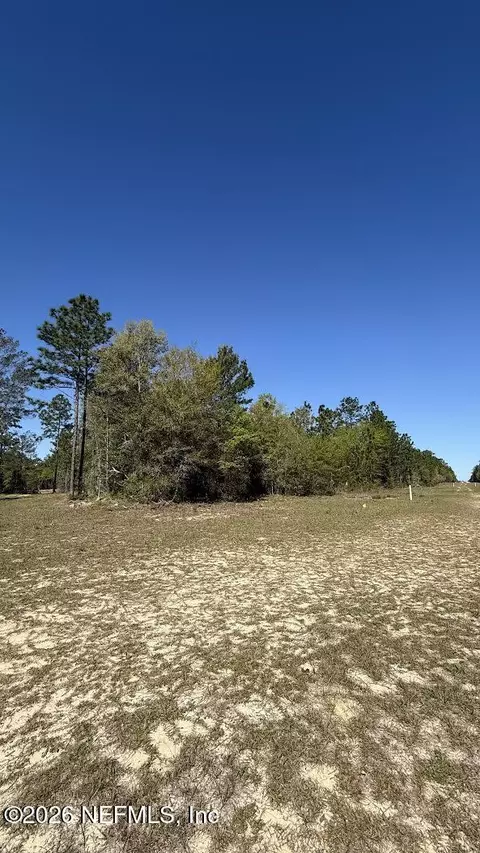 0 Mulberry St, Interlachen, FL 32148 photo 2