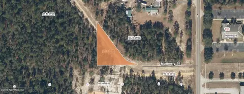 0 Mulberry St, Interlachen, FL 32148 photo 7