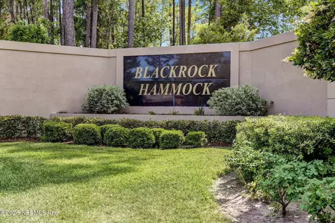 Other - 96030 Blackrock Hammock Dr, Yulee, FL 32097 photo 28 of 34