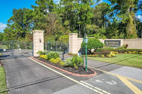 View/Area - 96030 Blackrock Hammock Dr, Yulee, FL 32097 photo 1 of 2