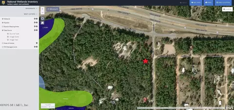 107 Paris St, Interlachen, FL 32148 photo 11