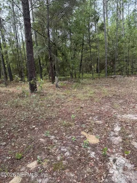 4477 M Lake Rd, Keystone Heights, FL 32656