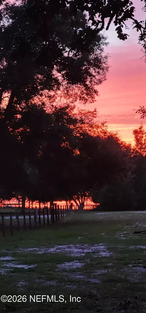 8042 County Line Rd, Melrose, FL 32666