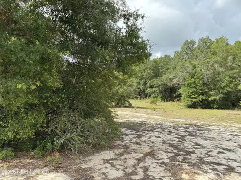0220 Chesser Monroe Rd, Interlachen, FL 32148 photo 4