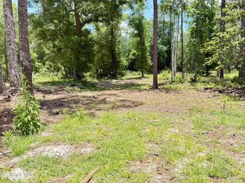 438 Chamberlain Rd, Satsuma, FL 32189 photo 18