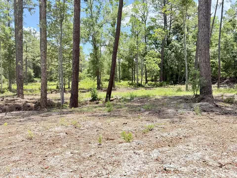 438 Chamberlain Rd, Satsuma, FL 32189 photo 14