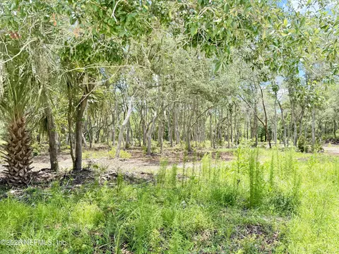 438 Chamberlain Rd, Satsuma, FL 32189 photo 5