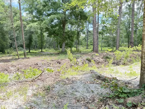 438 Chamberlain Rd, Satsuma, FL 32189 photo 21