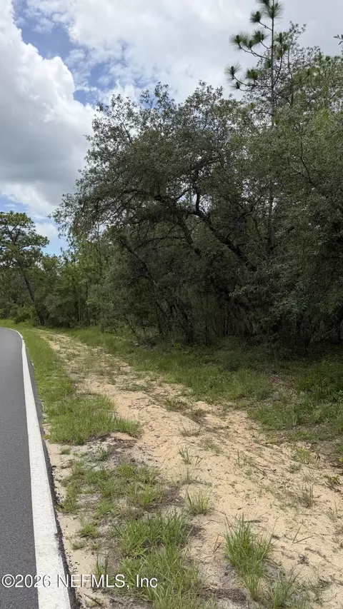 0041 Cousintown Rd, Interlachen, FL 32148