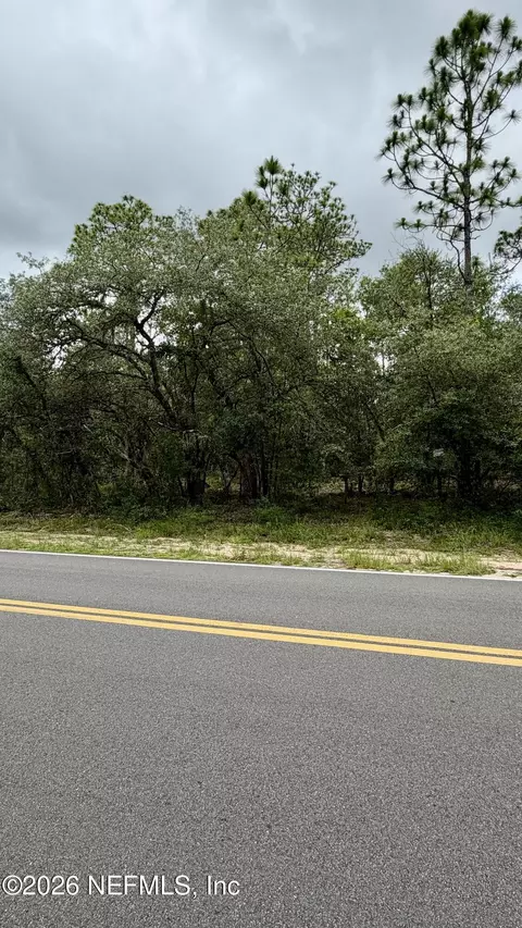 0041 Cousintown Rd, Interlachen, FL 32148