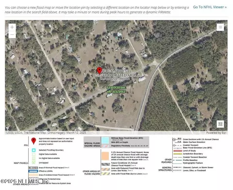 112 St Johns Ave, Satsuma, FL 32189 photo 10