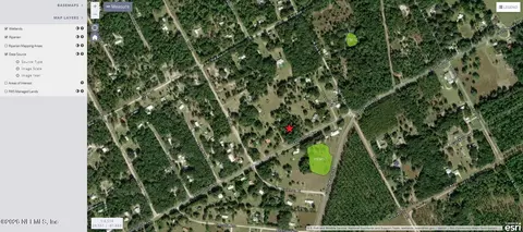 112 St Johns Ave, Satsuma, FL 32189 photo 11