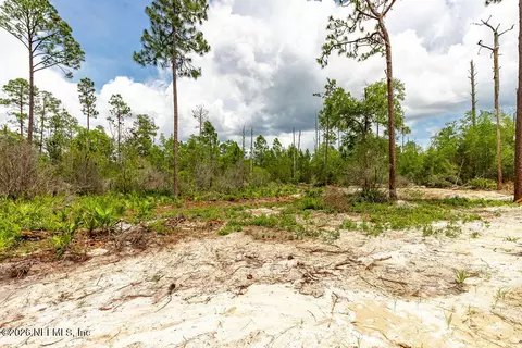 230 Redeye Rd, Florahome, FL 32140 photo 31