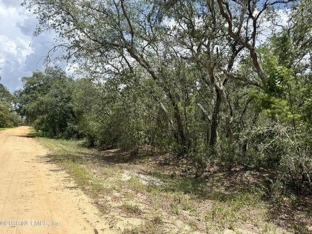 Nnn Wallace Street, Interlachen, FL 32148