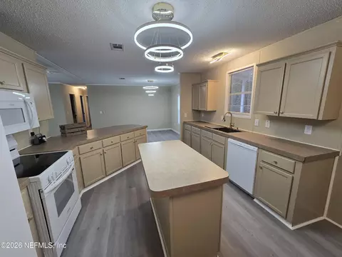 229 Dolphin Cir, Middleburg, FL 32068