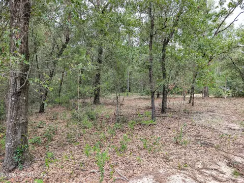 238 Keuka Rd, Interlachen, FL 32148 photo 10
