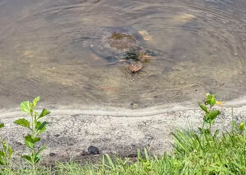 Other - 55 Amistad Dr, Saint Augustine, FL 32086 photo 28 of 33