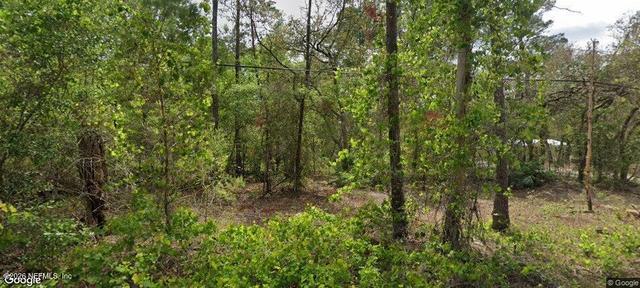 105 Pinetree St, Pomona Park, FL 32181
