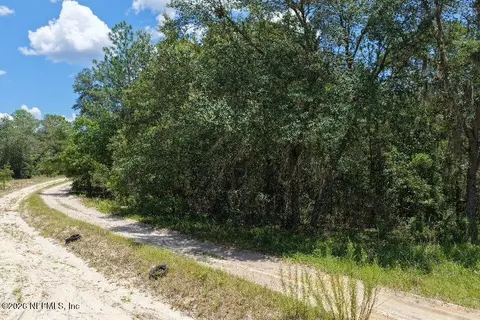 131 Long Branch Trl, Interlachen, FL 32148 photo 3