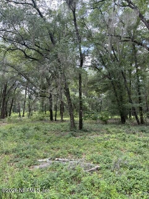 607 Cousintown Rd, Interlachen, FL 32148 photo 6