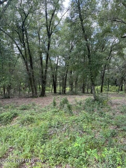607 Cousintown Rd, Interlachen, FL 32148 photo 3
