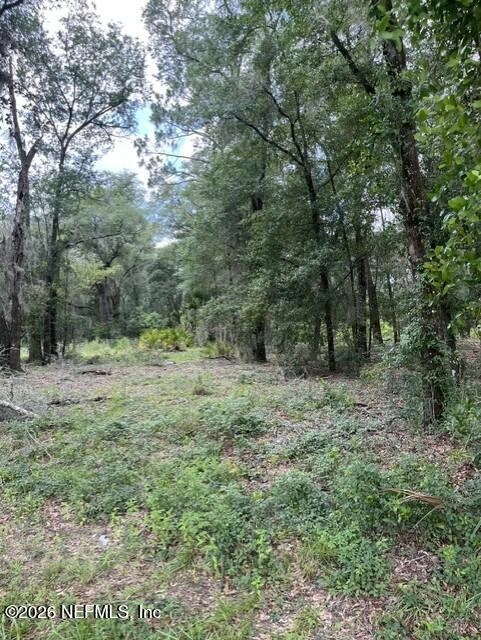 607 Cousintown Rd, Interlachen, FL 32148 photo 2
