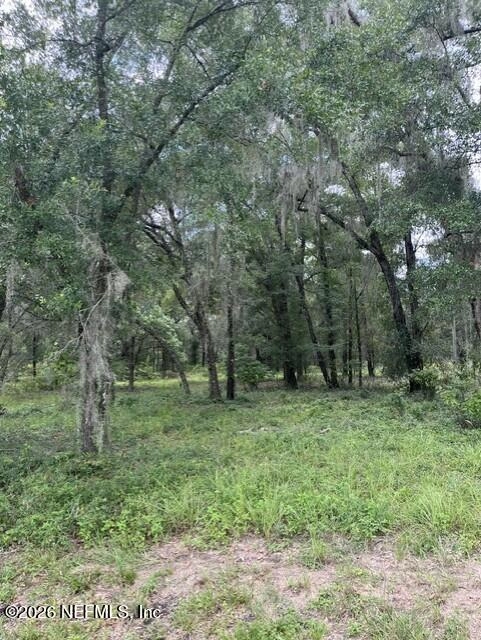 607 Cousintown Rd, Interlachen, FL 32148 photo 7