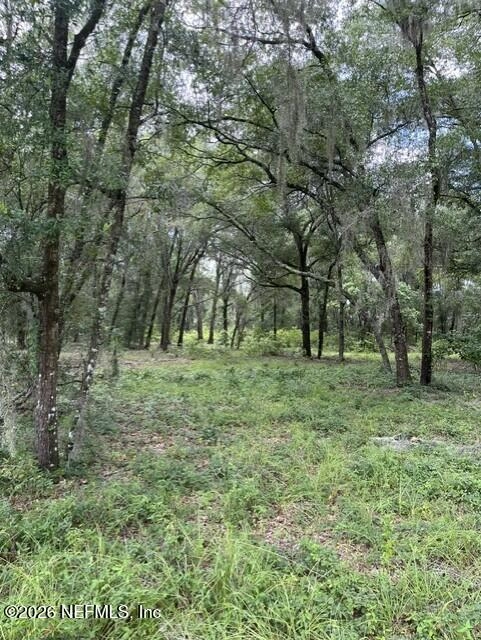 607 Cousintown Rd, Interlachen, FL 32148 photo 4