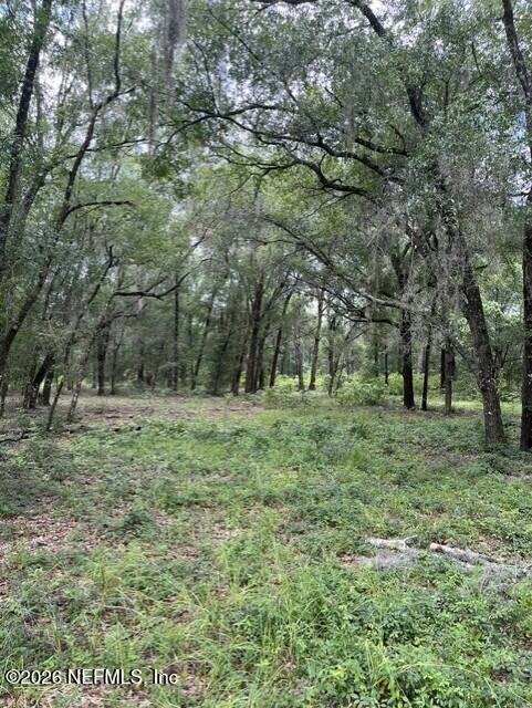 607 Cousintown Rd, Interlachen, FL 32148 photo 1