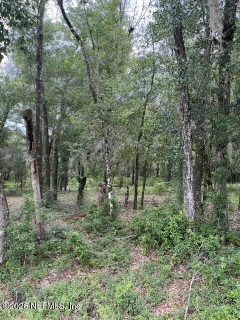 607 Cousintown Rd, Interlachen, FL 32148 photo 5