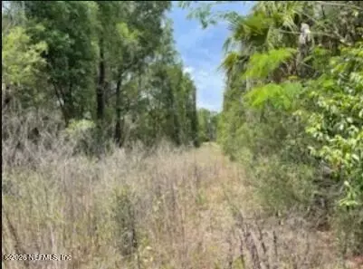0 SE 46th Loop, Keystone Heights, FL 32656 photo 3