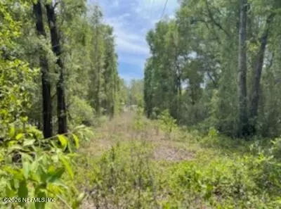 0 SE 46th Loop, Keystone Heights, FL 32656 photo 2
