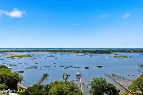 View/Area - 96497 Blackrock Rd, Yulee, FL 32097 photo 5 of 5