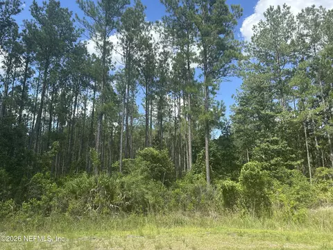 36014 Purebread Ct, Callahan, FL 32011 photo 4