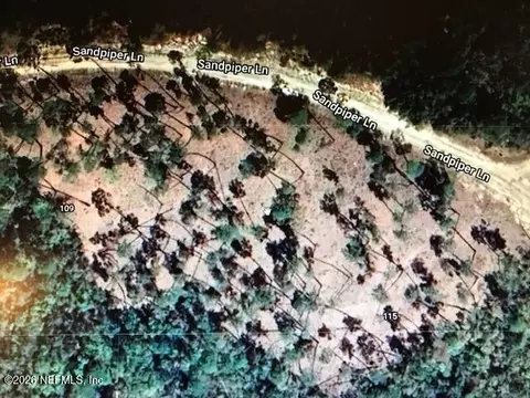 113 Sandpiper Ln, Georgetown, FL 32139 photo 5