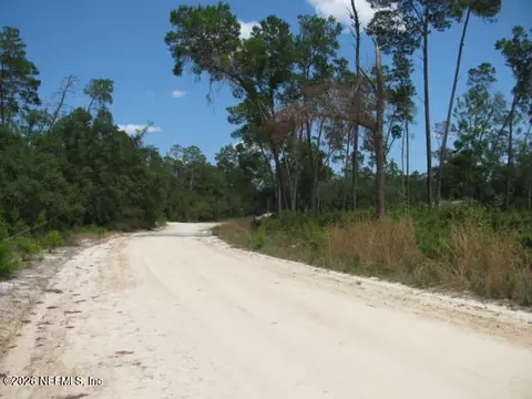 113 Sandpiper Ln, Georgetown, FL 32139 photo 6