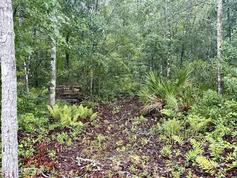 6985 Woodward Rd, Saint Augustine, FL 32092 photo 10