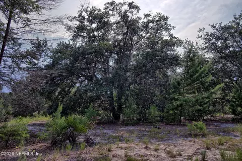 000 Cousintown Rd, Interlachen, FL 32148 photo 18