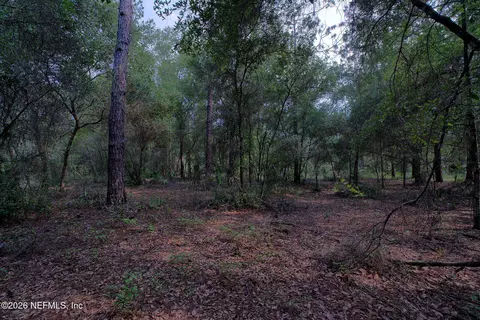 000 Cousintown Rd, Interlachen, FL 32148 photo 23