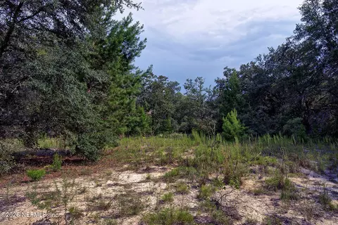 000 Cousintown Rd, Interlachen, FL 32148 photo 19